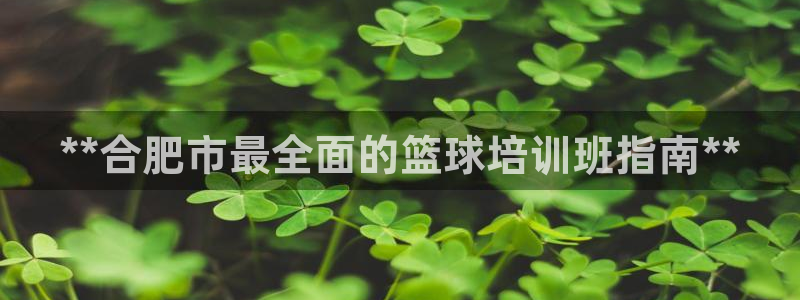 焦点娱乐有限公司电话：**合肥市最全面的篮球培训班指