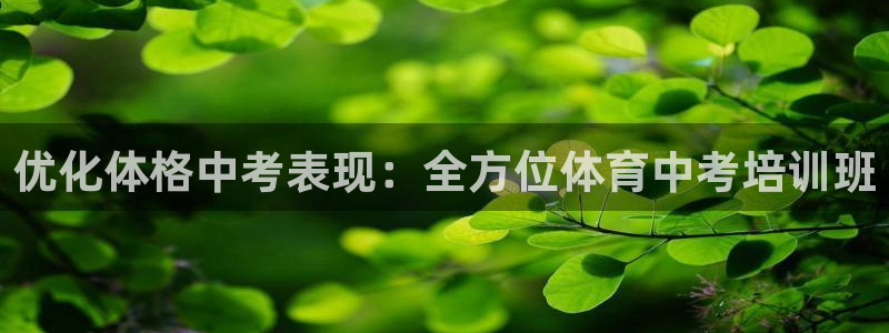 焦点娱乐违法吗：优化体格中考表现：全方位体育中考培训