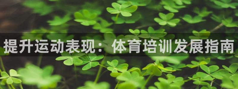 焦点娱乐app下载官网苹果手机：提升运动表现：体育培