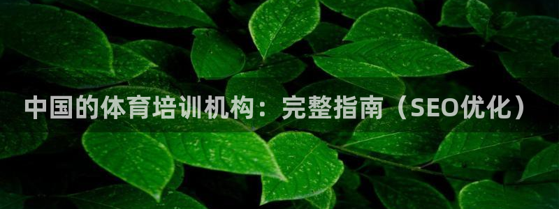 焦点娱乐传媒有限公司怎么样呀：中国的体育培训机构：完