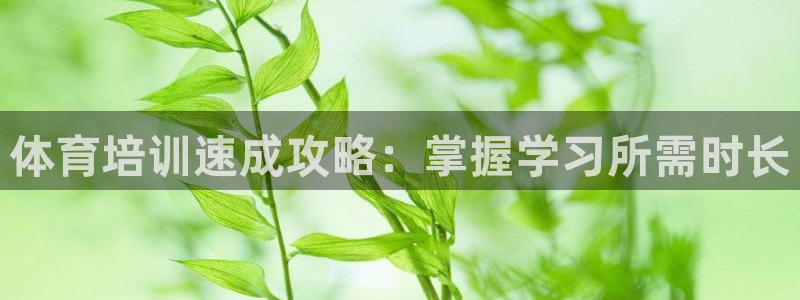 焦点娱乐有限公司怎么样：体育培训速成攻略：掌握学习所